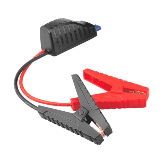 image_735ad30e-218e-4e63-8067-12b6b066f91f