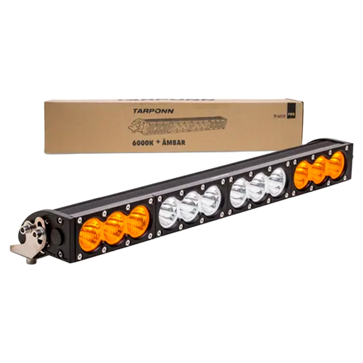 image_8eb0d04c-0289-481b-b2d9-41bf3931018a