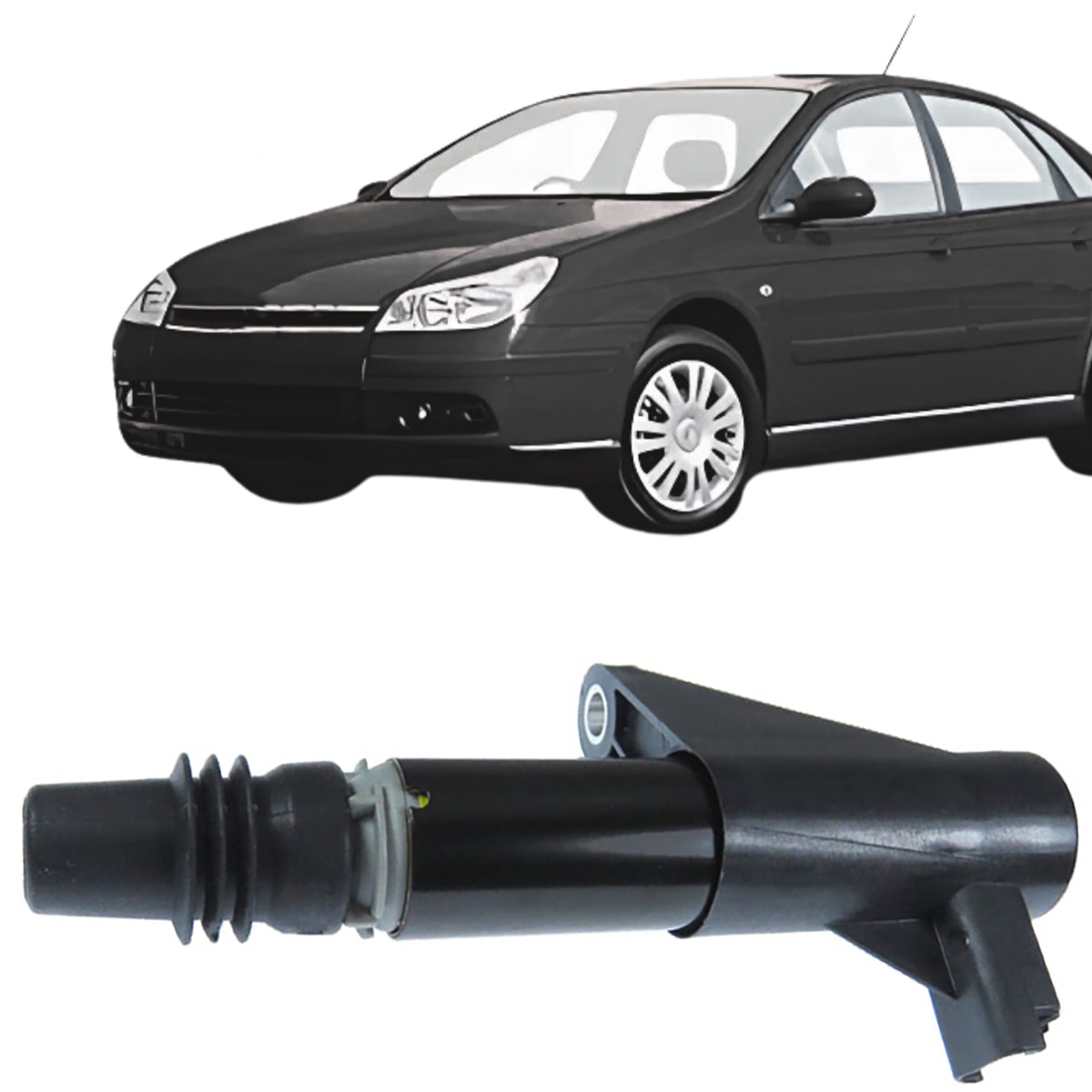 image_767f4c48-7557-498a-812a-86178e381a3d