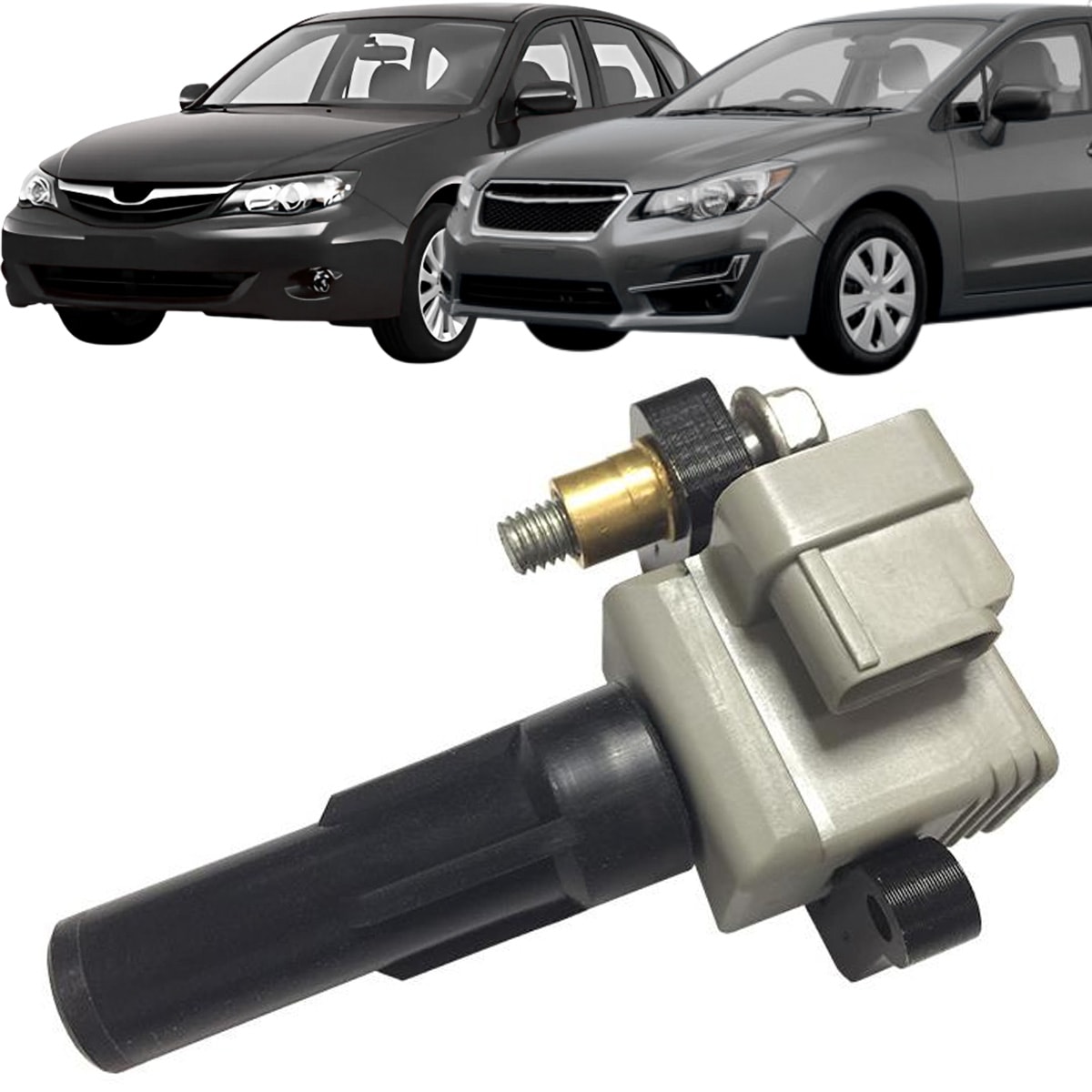 image_52466163-f551-4b12-bba7-72fc7d99ae96