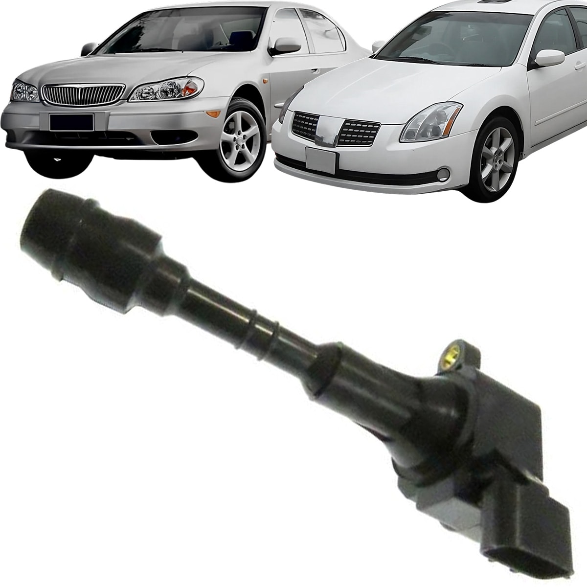 image_c4b29138-0bed-4af4-a4eb-58208f803629