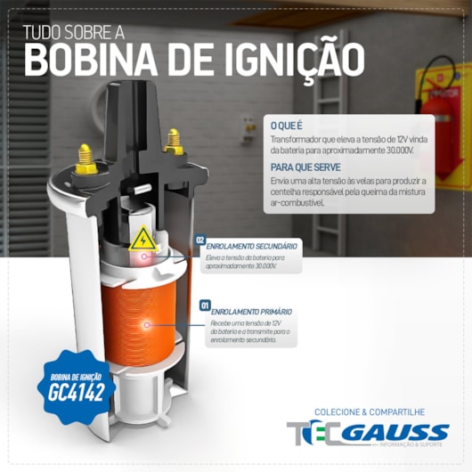 image_ed03d842-9841-4475-b901-35de0fb3f223