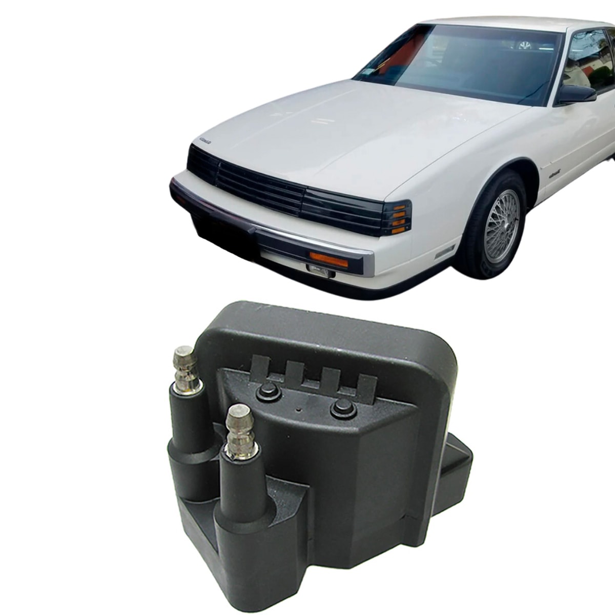 image_b8e73590-59a6-45a1-b9fd-dc2233fb5de7