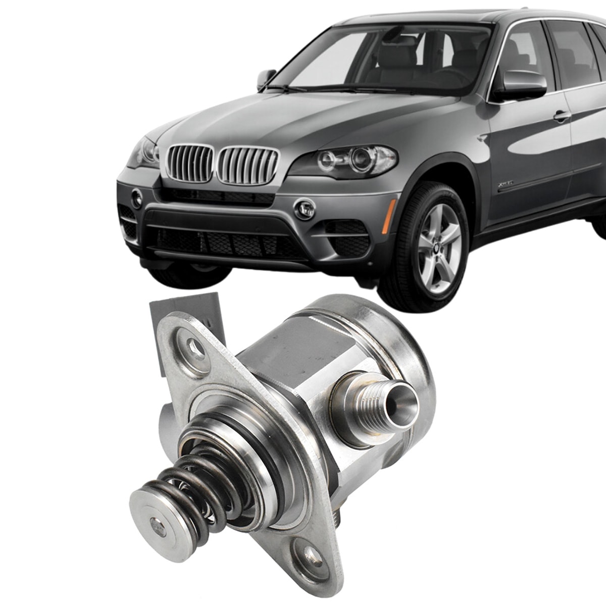 image_81d903fc-99ea-4a6b-bf8d-878cc03a7900