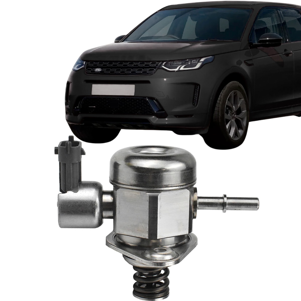 image_00af4e95-8024-4cb5-a079-c8dc9b9c65d8