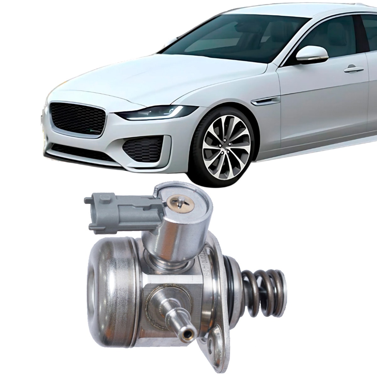 image_410a5f71-c1fc-4ad1-9460-eaa81dcd0f3b