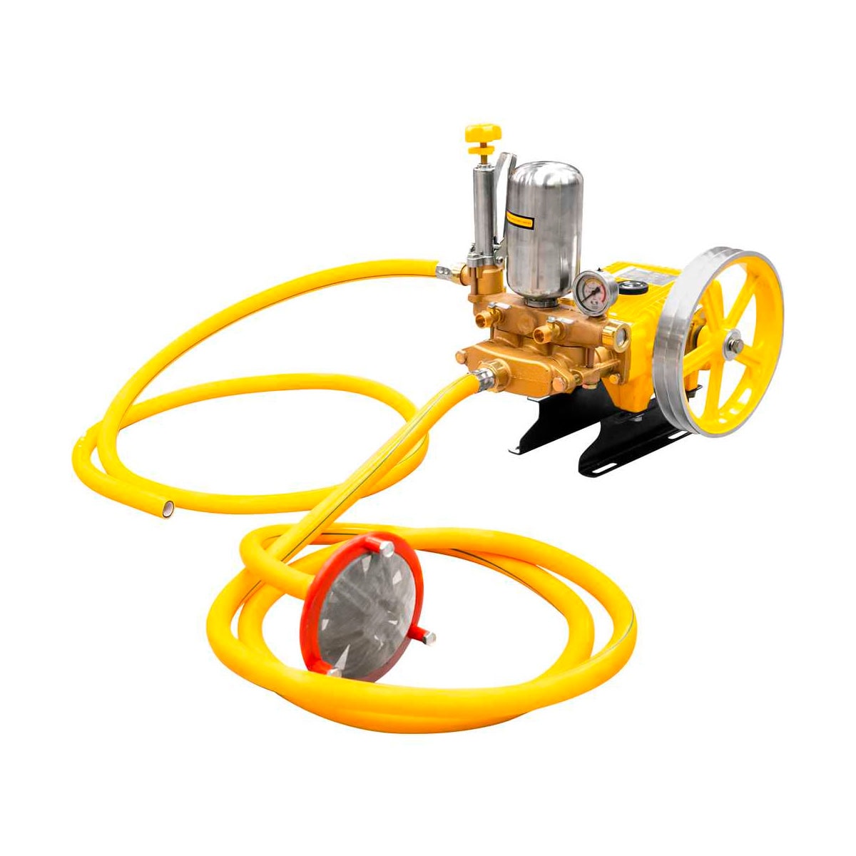 image_548a8f97-010d-422a-bb4f-03b29609b574