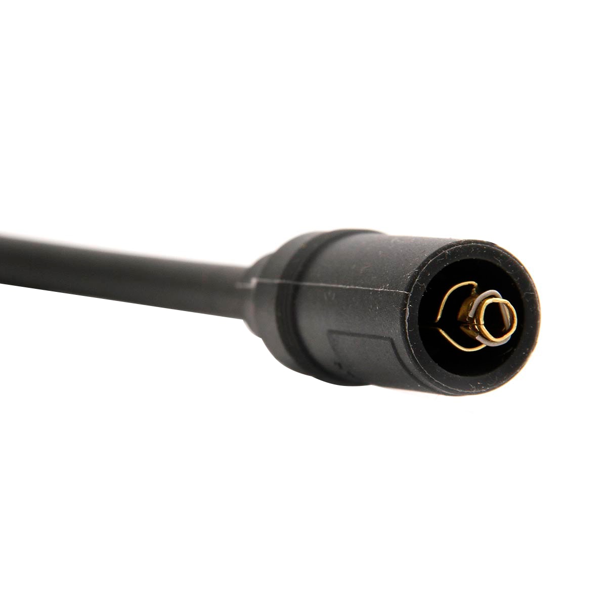 image_1b4a942f-569c-4ed8-b7dc-675db0d8bf2a