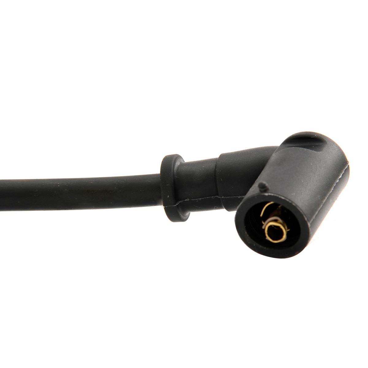 image_e5e77198-0300-43e0-9dc1-efb4cc8ef4b5