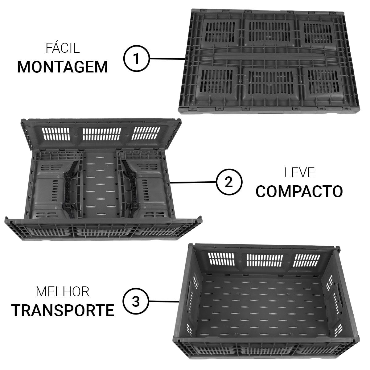 image_2a1f3a17-1ed2-4698-a5c3-7afa5f32641a