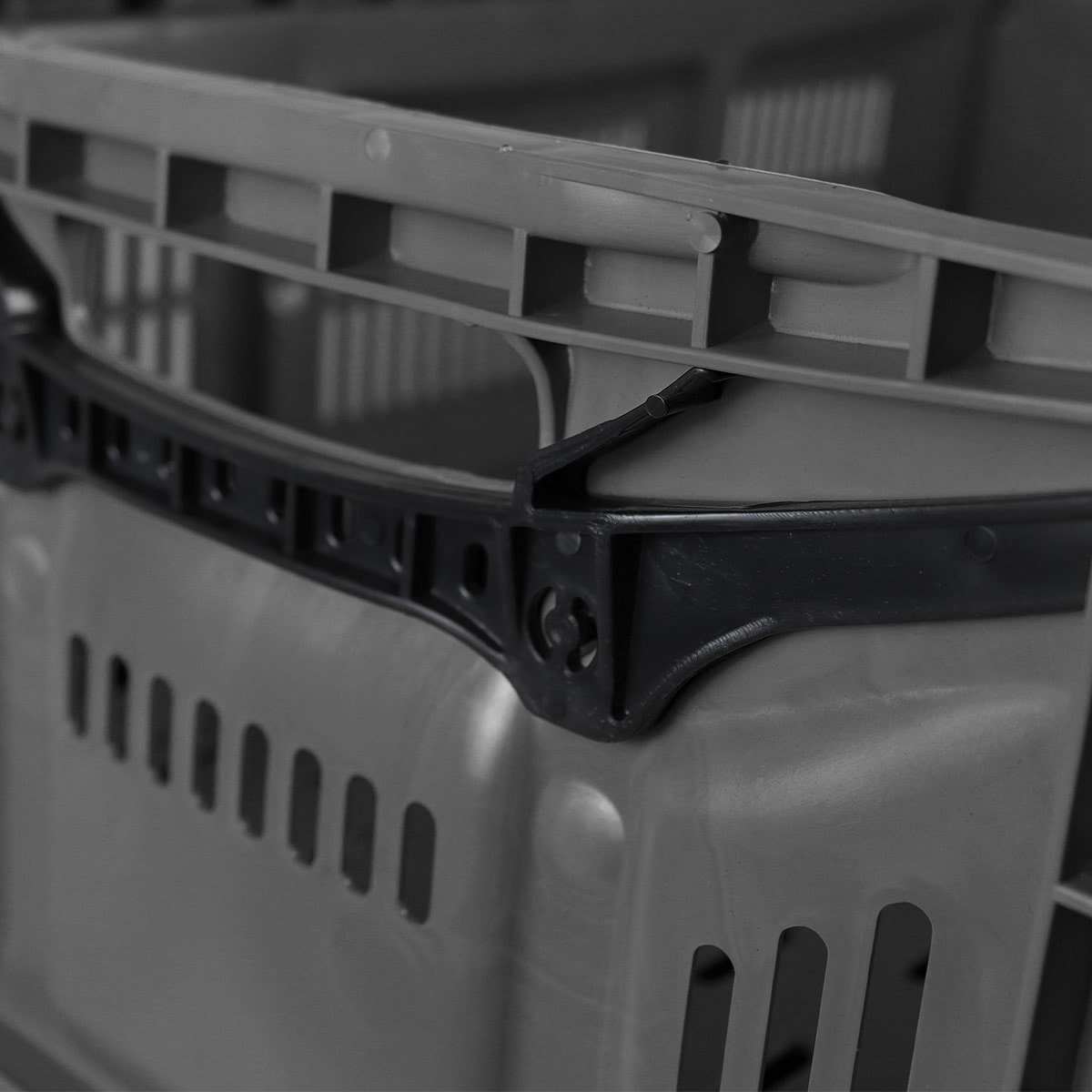 image_c1dca681-f590-49f3-b0ca-548f98fd018a