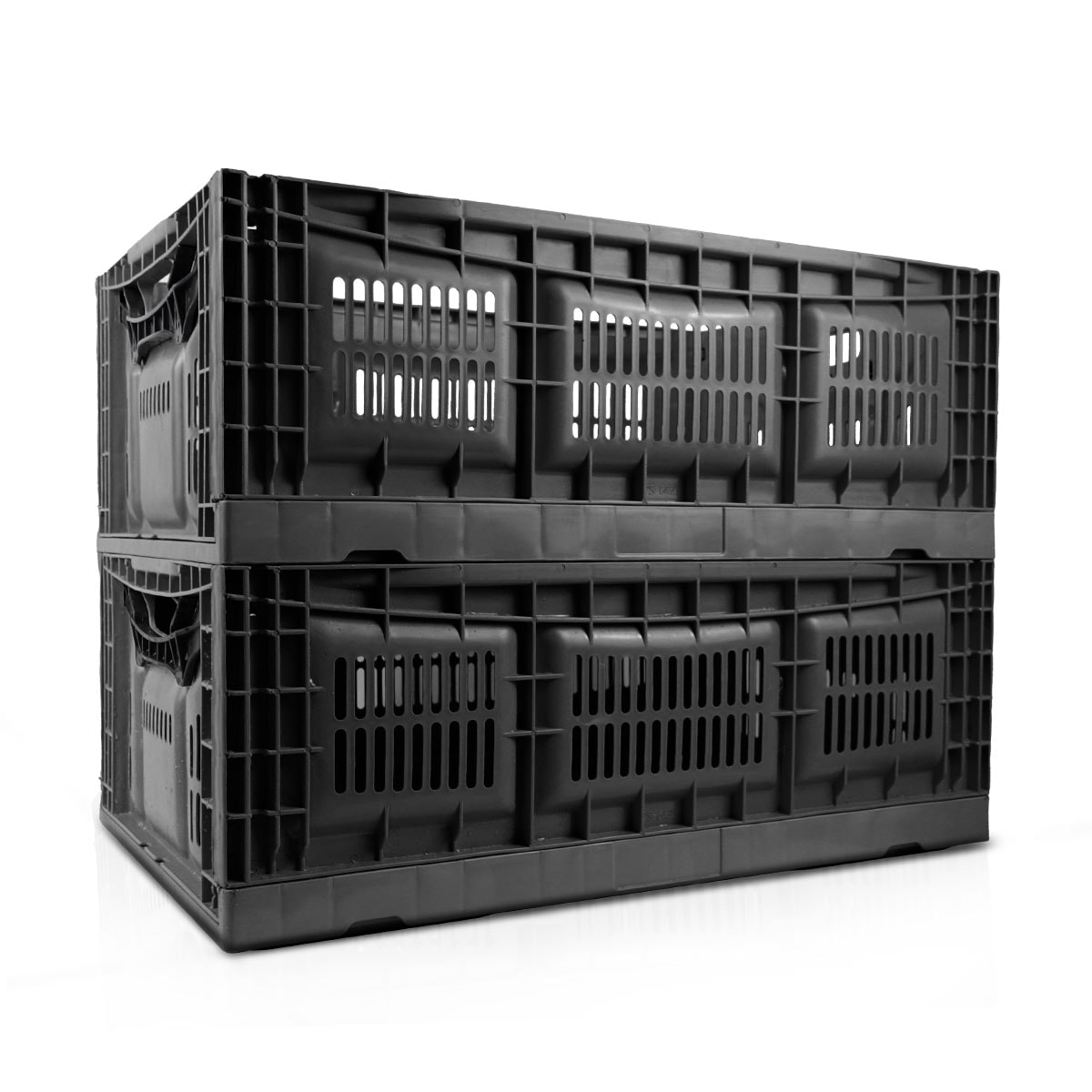 image_db22b9e0-15d5-495f-b507-705255bd4407