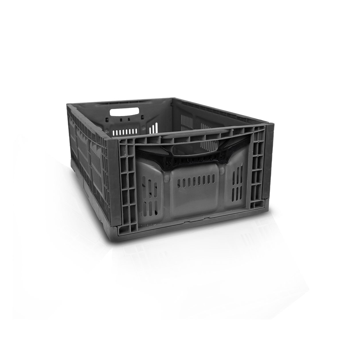 image_f9cc5cff-d8bb-4d94-b7c4-82918ee3243f