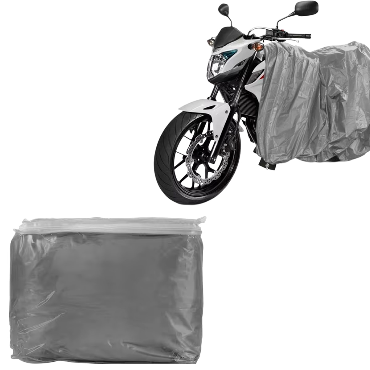 image_f04176e9-e4e7-4f97-9240-b06dd4ac18c0