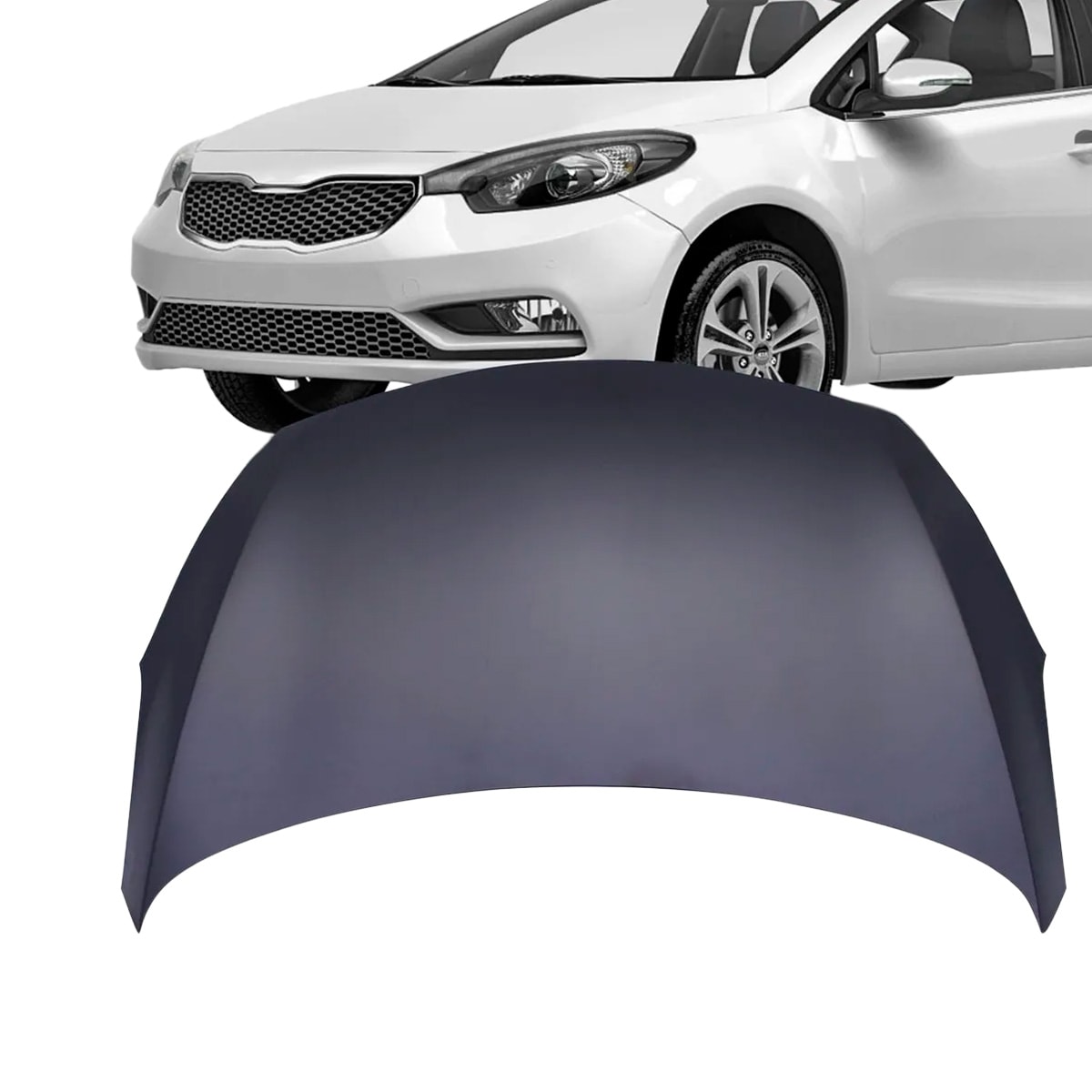 image_e64683e2-e0a7-46aa-8380-a32b01e0297d