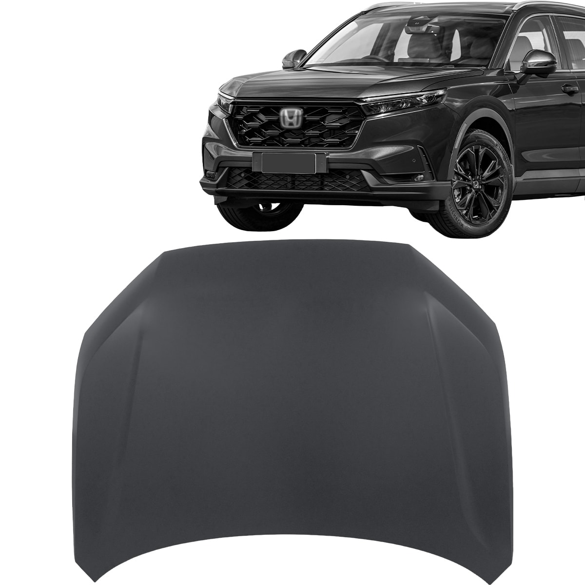 image_21d240cf-19b1-45ec-9920-03e41bab055e