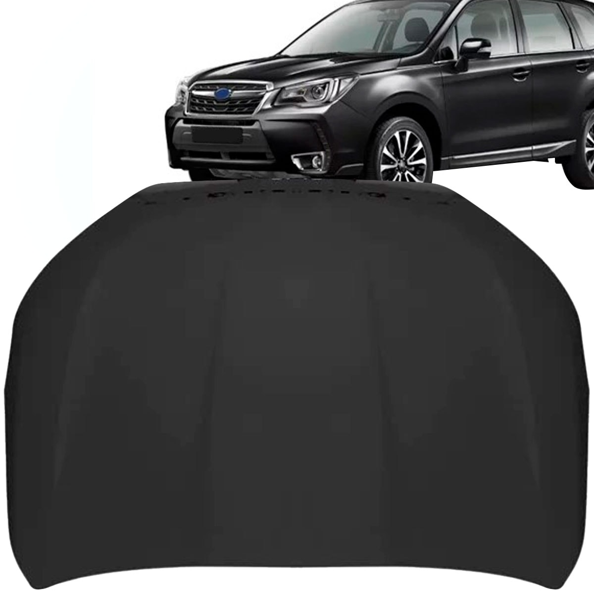 image_4a76f808-54dc-449c-ad98-26d8f4ee1903