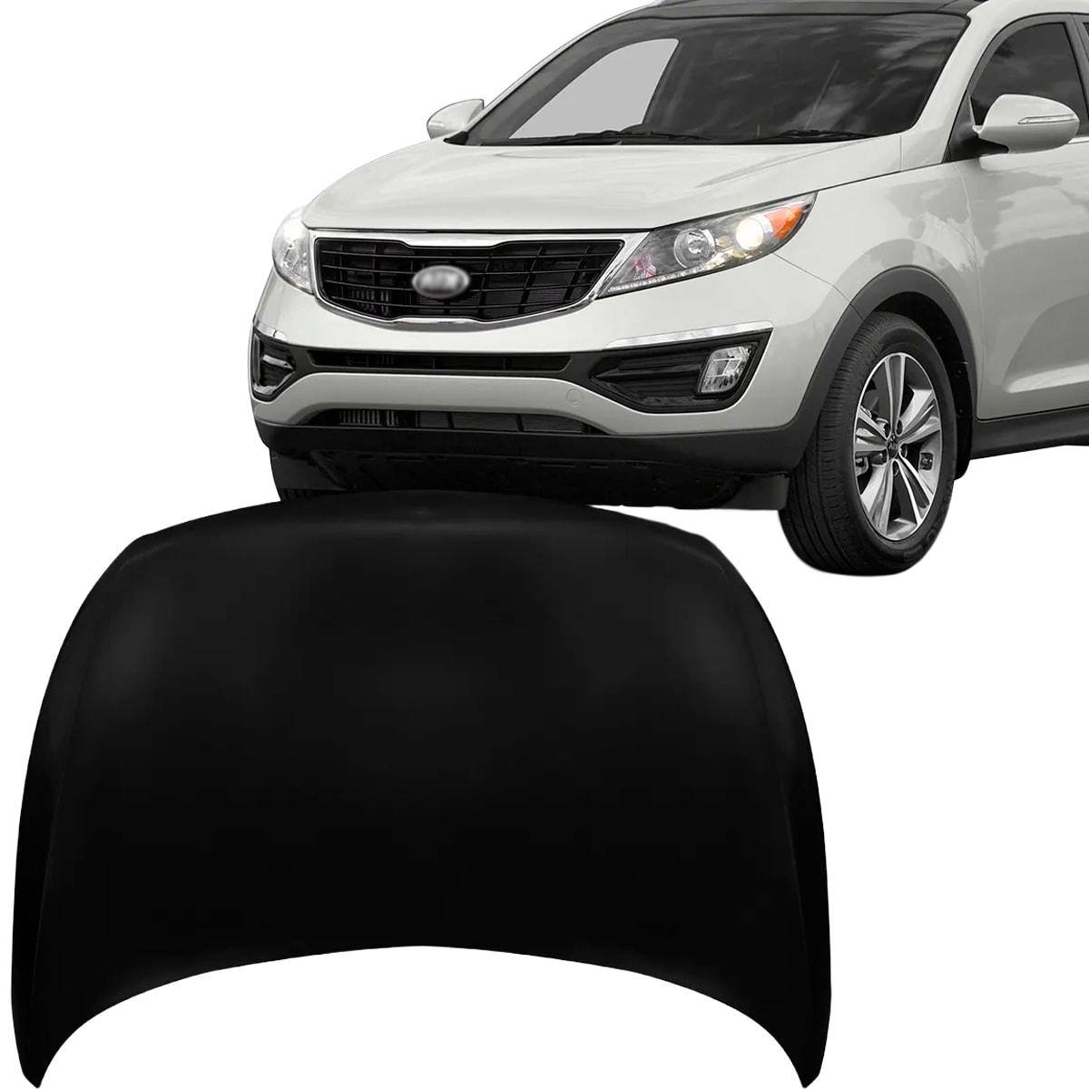 image_8781b385-bec7-4cd7-9928-6c77f425ed0b