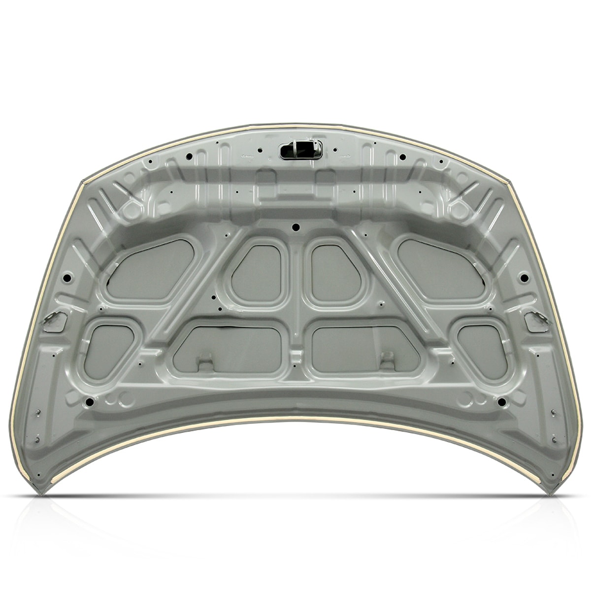 image_8c505c05-ad7a-40a7-8b4b-4663a1b1534e