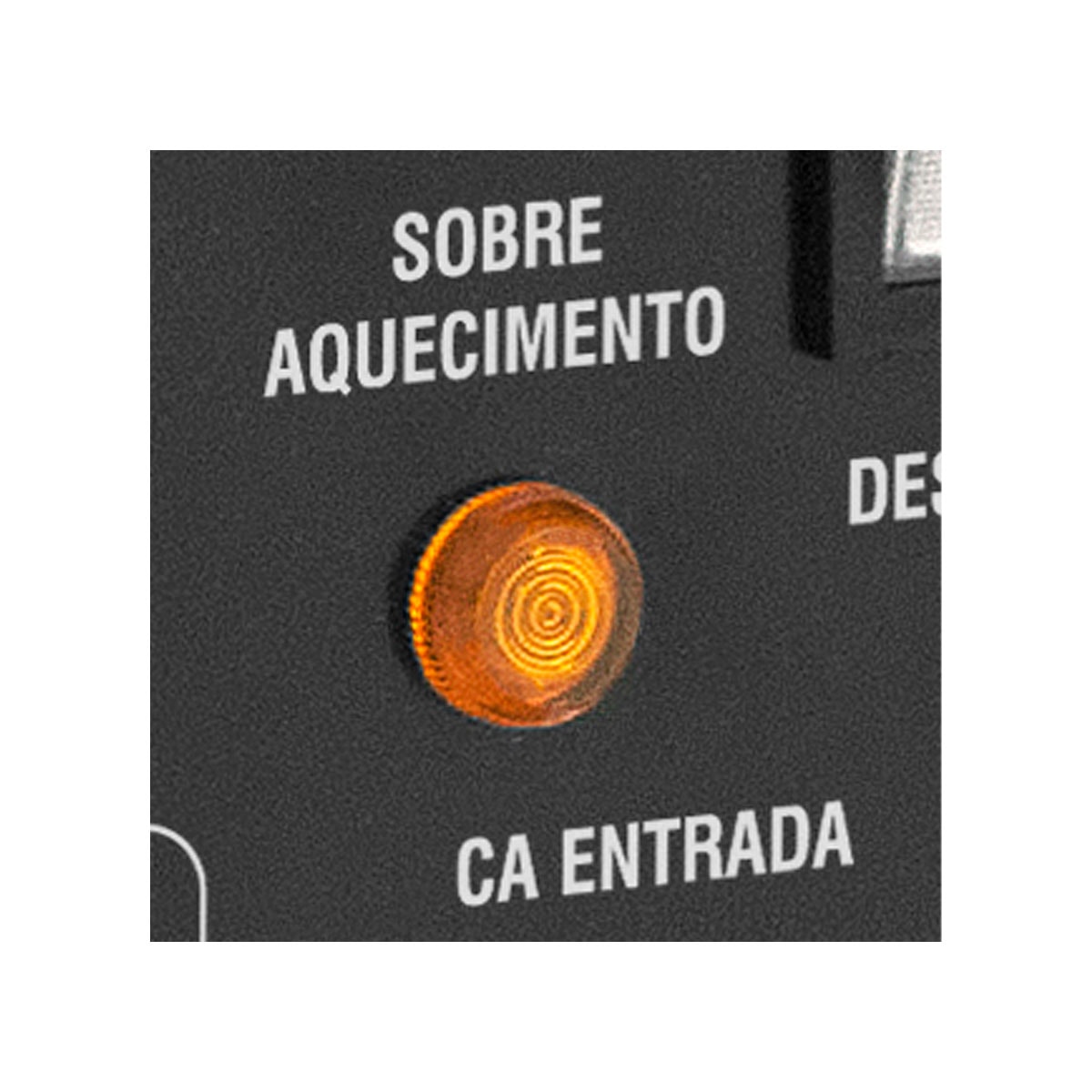 image_8cac5c96-7dce-410c-8bd6-392f3694d8b6