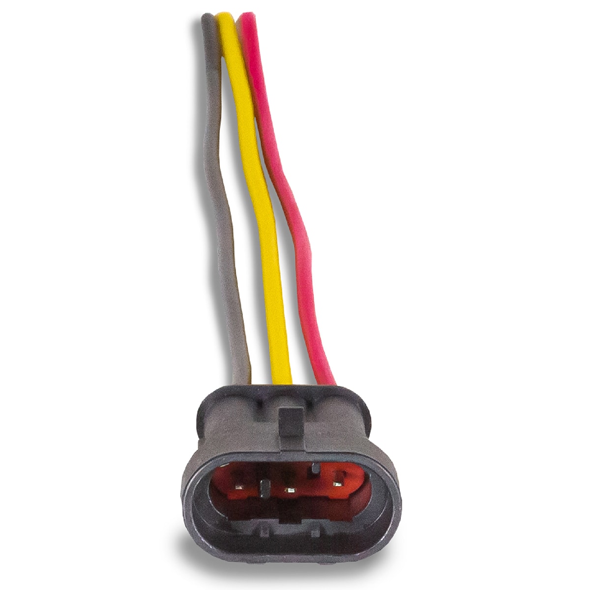 image_201147c2-c53b-4896-af3a-a29094bc3fa7