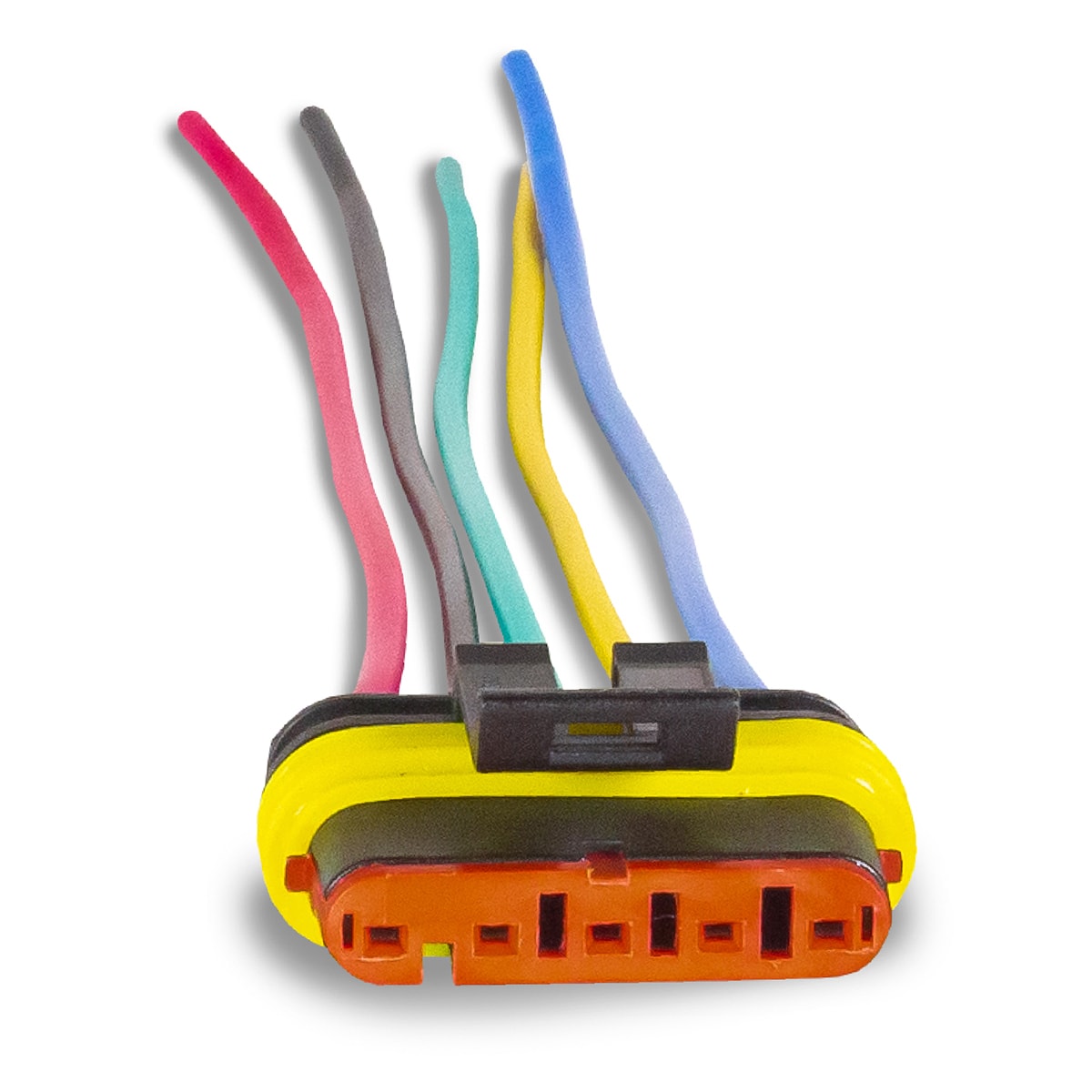 image_1063e32b-5654-4998-be69-063acf51844d