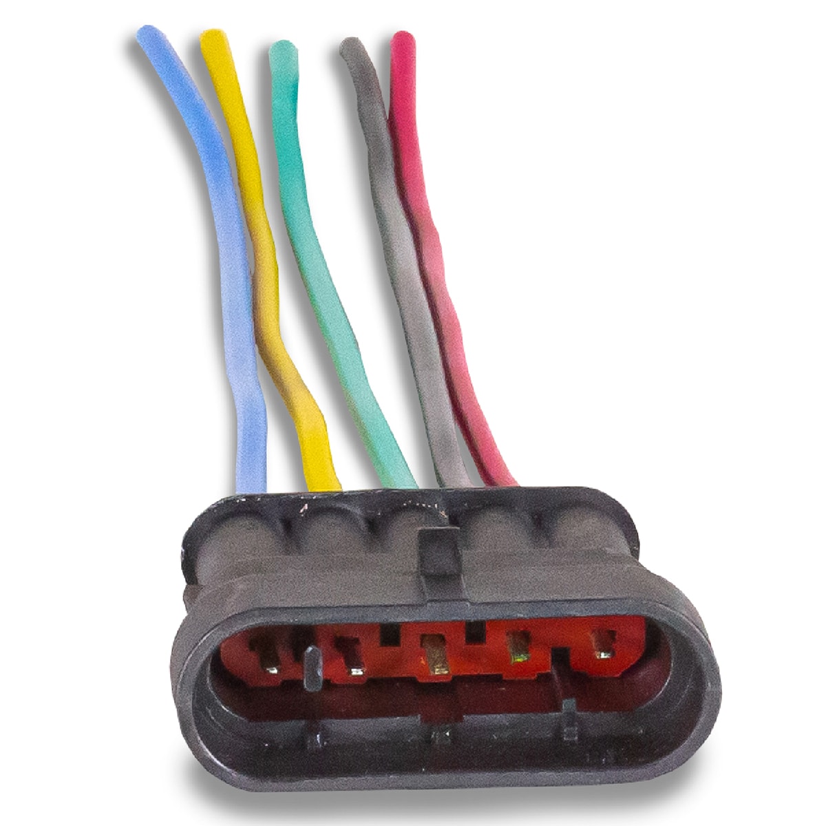 image_7465f6df-e5fa-4903-b946-648a4578905b