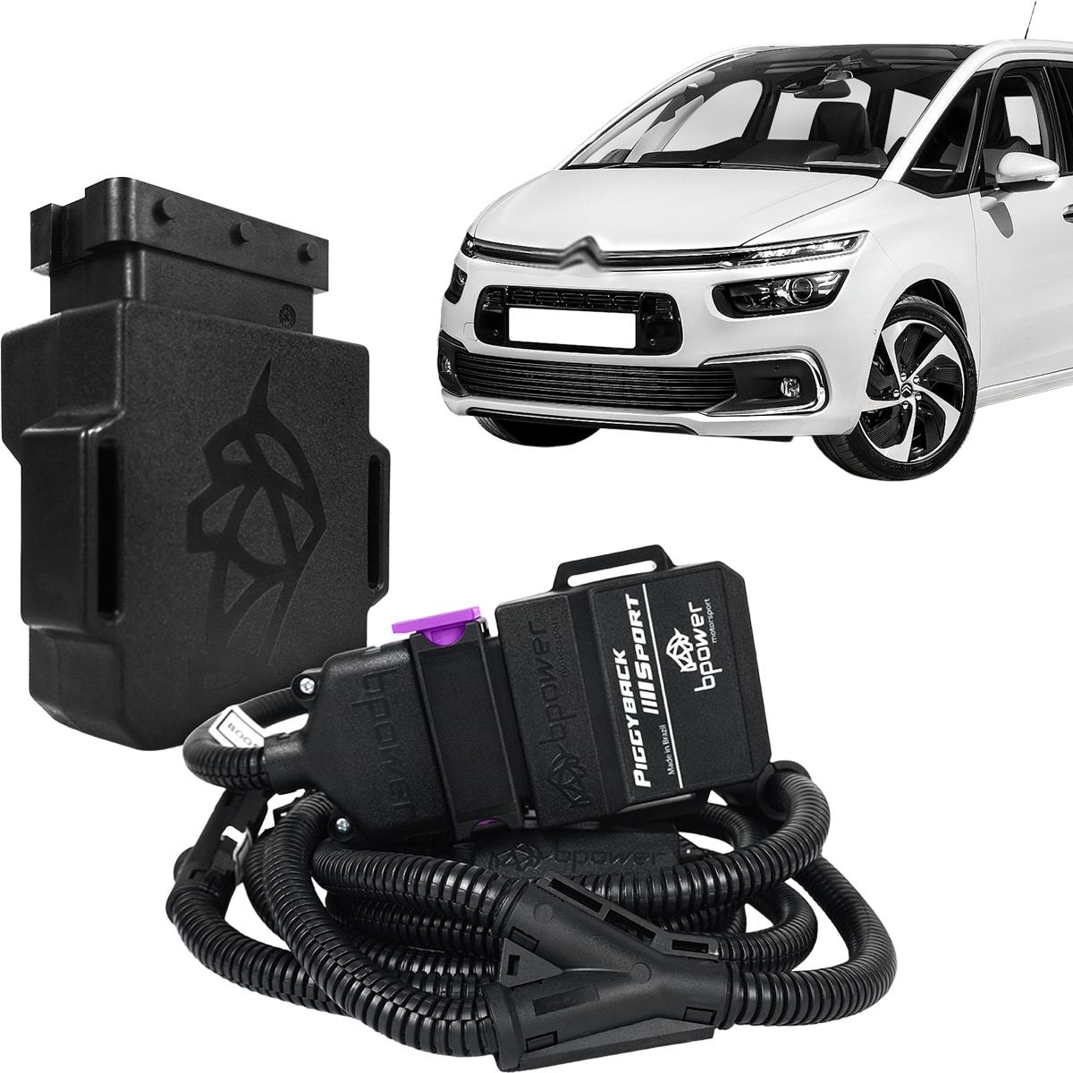 image_b5bbe15e-e069-4c89-96c1-aca8e69b9d0a