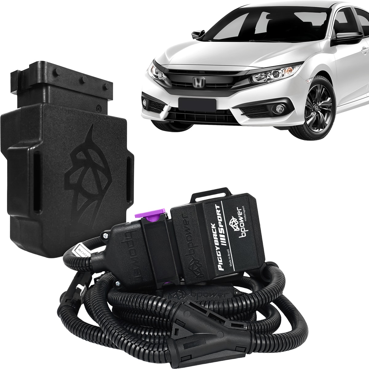 image_c5213eaf-bdb9-4981-841d-78e1ca139b1a