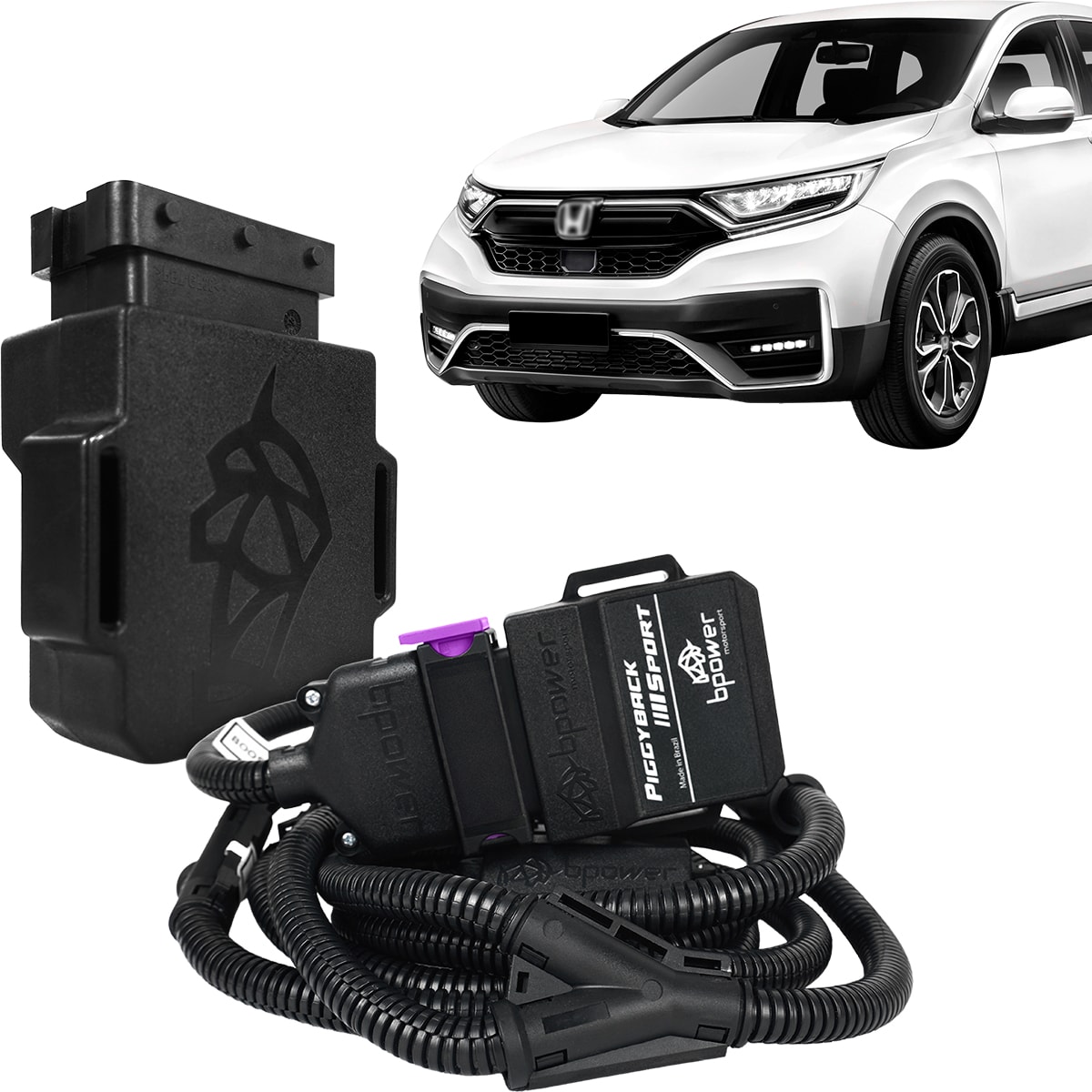 image_fc37e0fc-5804-45d4-9e68-0ede27a179eb