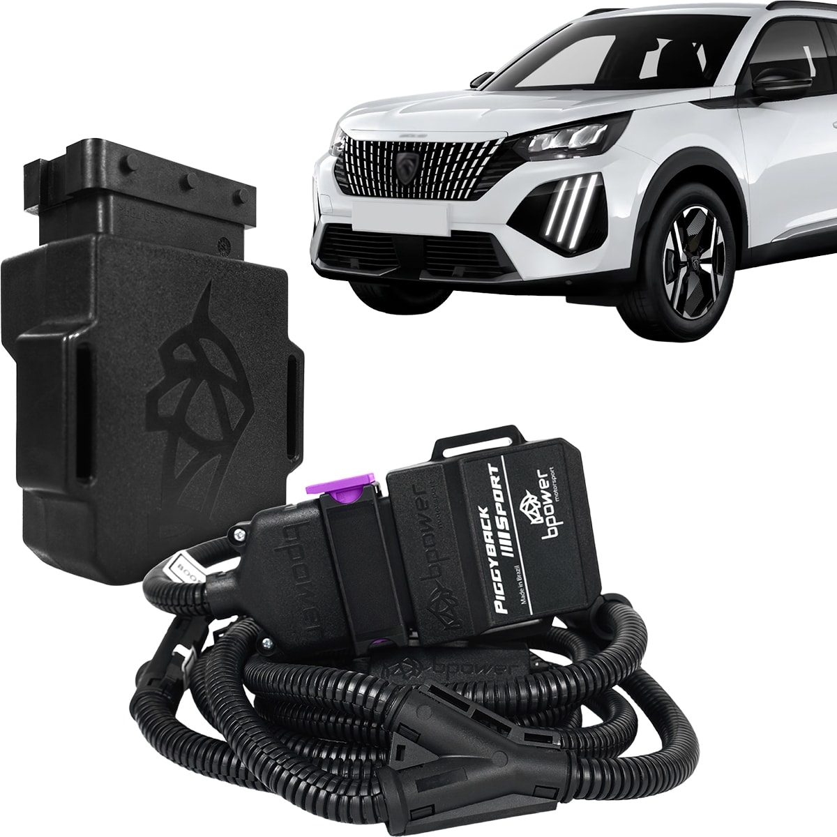 image_2c6bf391-b9d8-40a3-b2e4-d2b070b63ed8