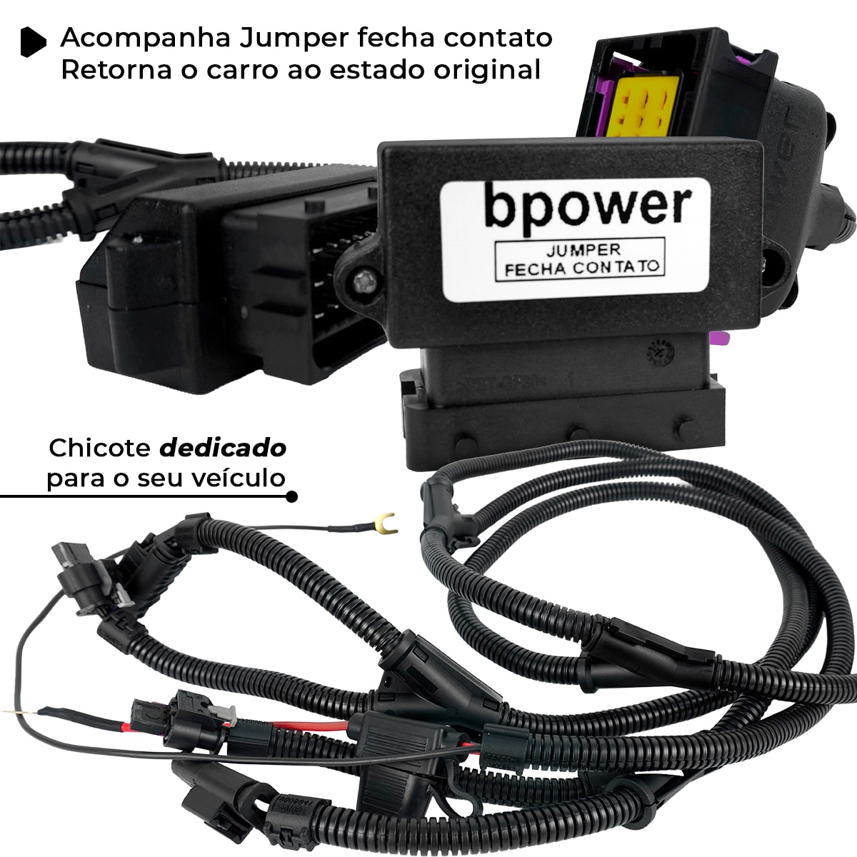 image_54fcf348-ee9e-4bb5-802a-35850a095036