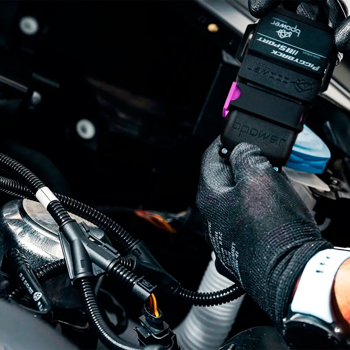 image_728eee5f-40eb-417d-9875-a6d32fbf1da9