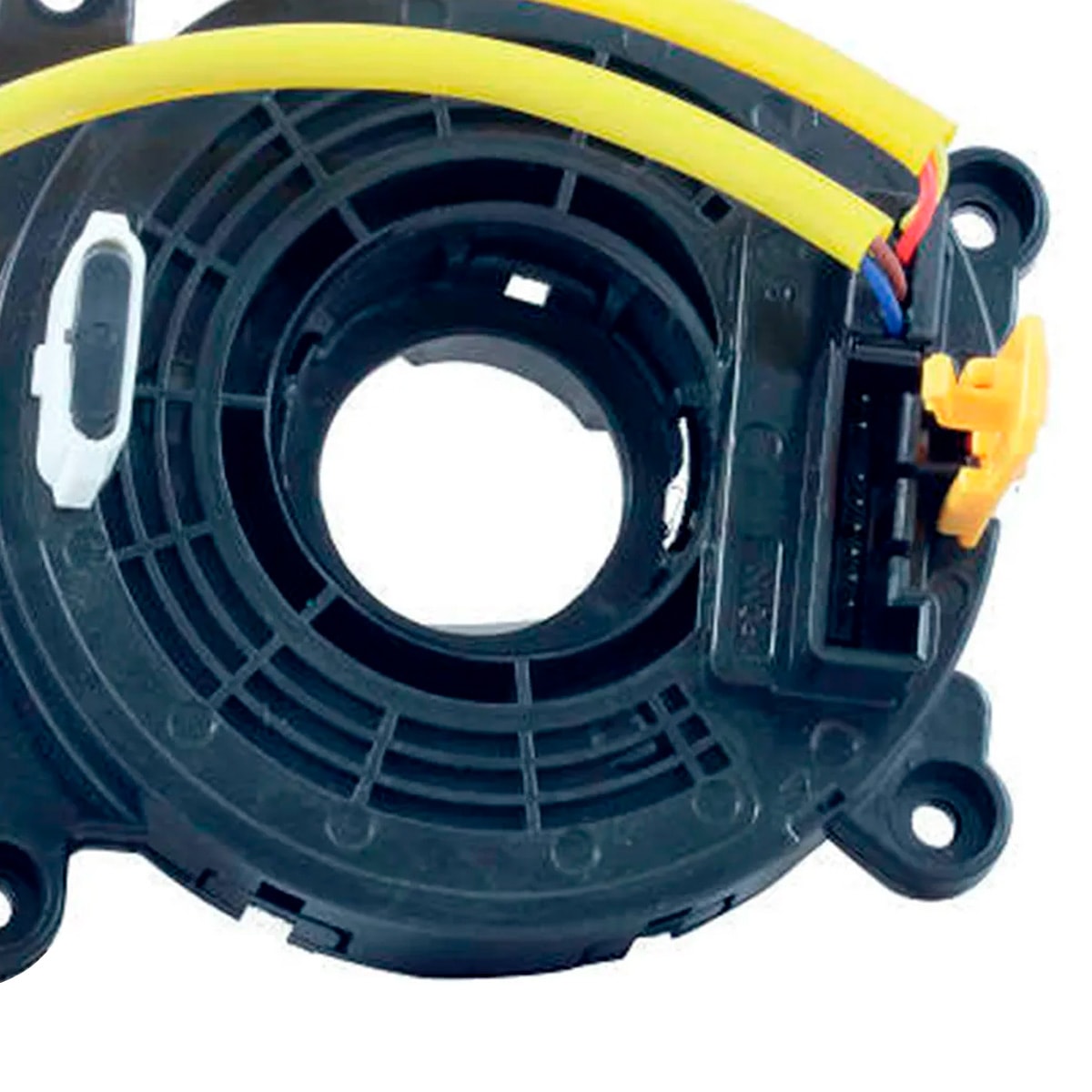 image_d0927dd4-69fe-4cd7-a55a-29a4ea0a9a8d