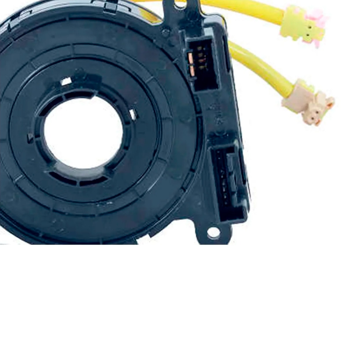 image_79dab011-5c10-4fbb-ad19-f698e3d2d072