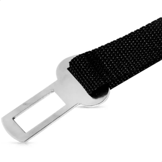 image_9a7cbdab-87f7-4249-beb5-e155b47afb59