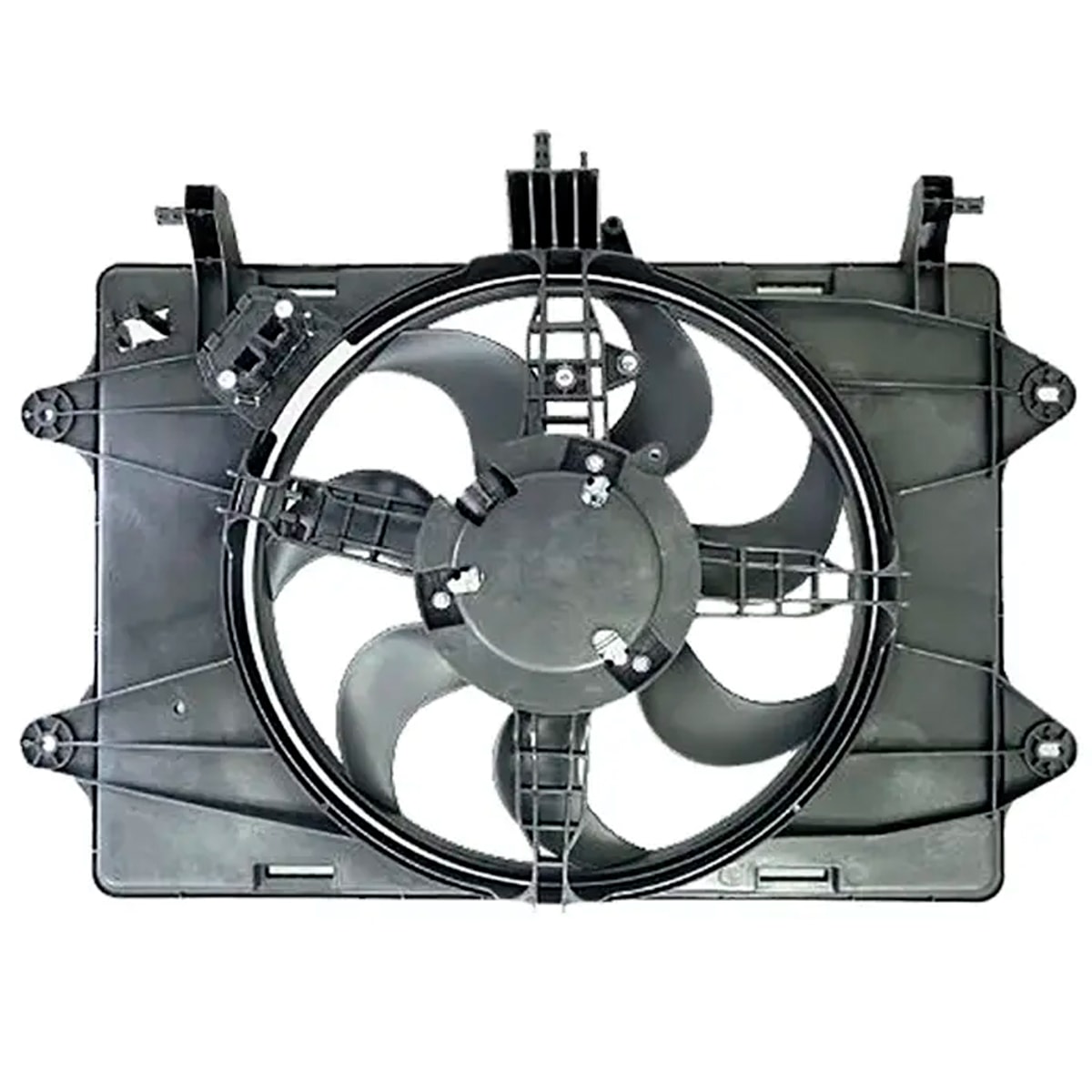 image_f83894b1-dfec-4481-9e79-4c93d53a5944