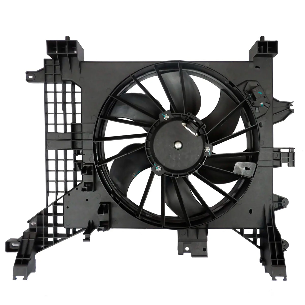 image_668d1275-e0c4-4828-95cf-f93f0c40cfe0