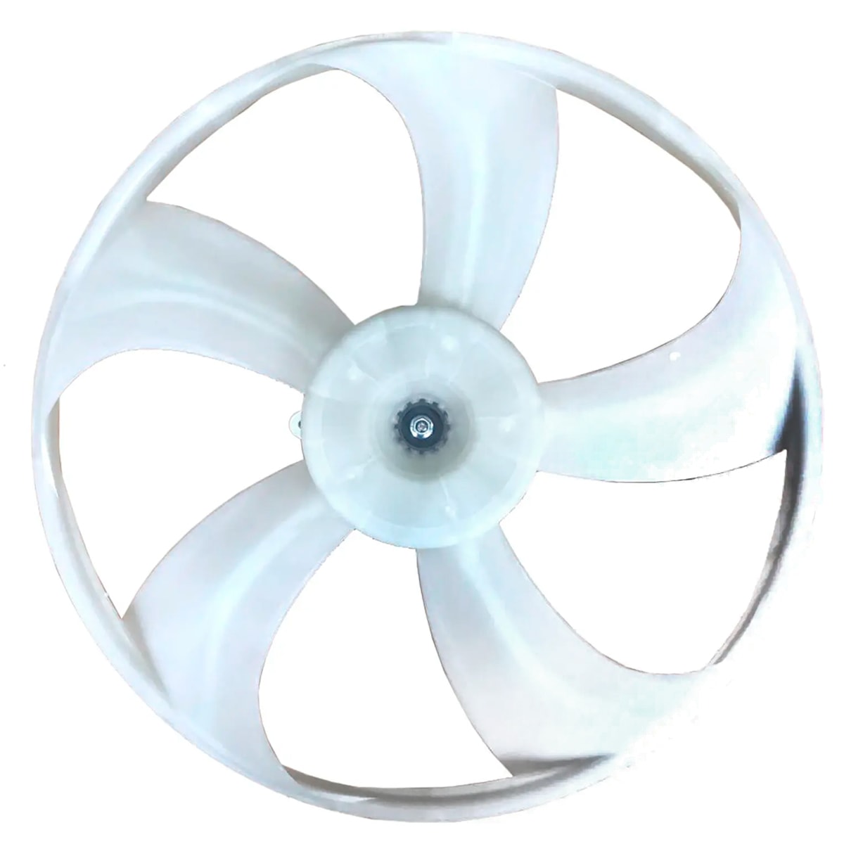 image_c43fc7d6-d5c9-41dd-b57d-2b2268bd1e78