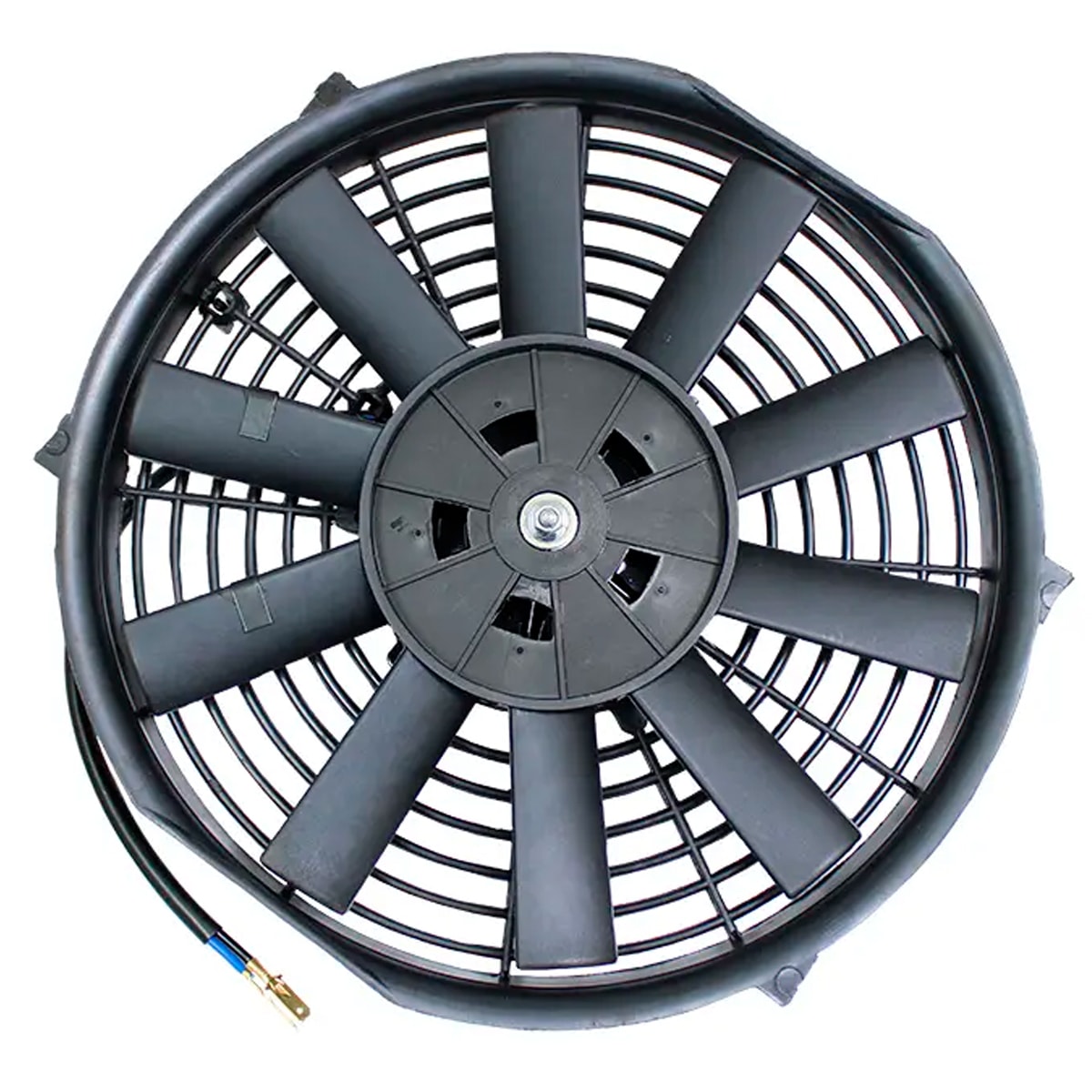 image_3b5fdf13-4e71-456c-9ab5-7f32f3b47b8f