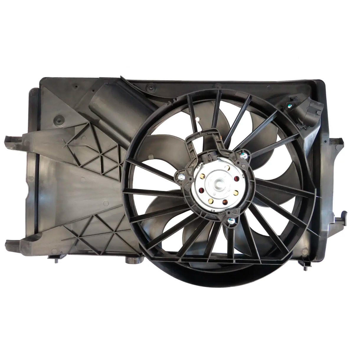 image_a1f334fe-7b95-4369-bb45-d3579a92e430