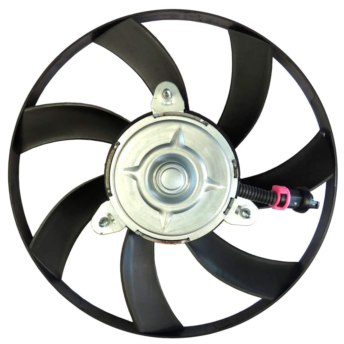 image_abcae737-dd25-4a1c-8a3d-cd1aa2fdff81