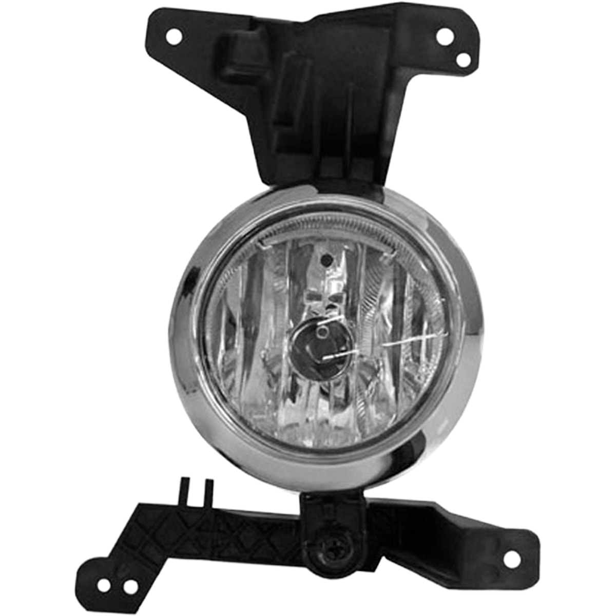 image_d879dac8-f08c-426b-a5d3-dcfec5e9d85b