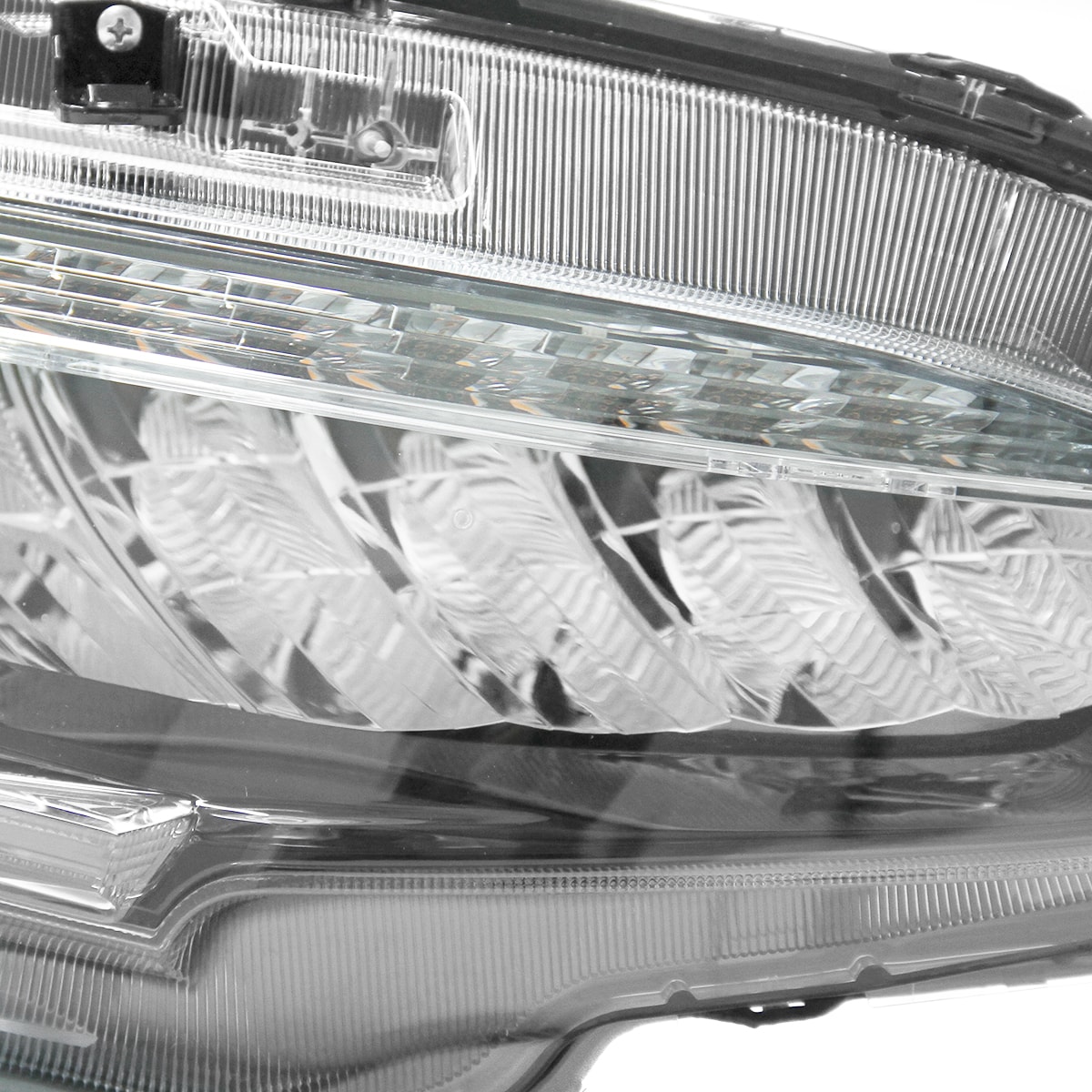 image_37edc2db-71f4-4a54-a4cd-eb8470044f19