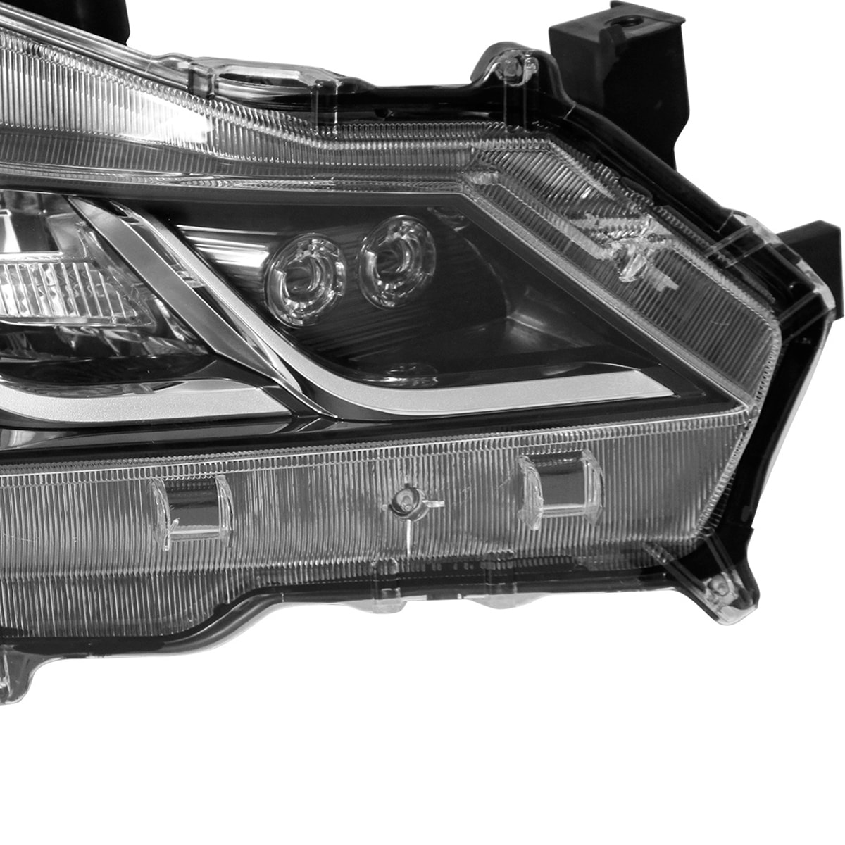 image_4004790a-d997-4be3-9e47-025f8ff90045