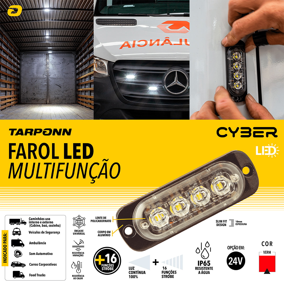 image_b0f44865-ee0c-4347-93fe-c7d59b9d572e