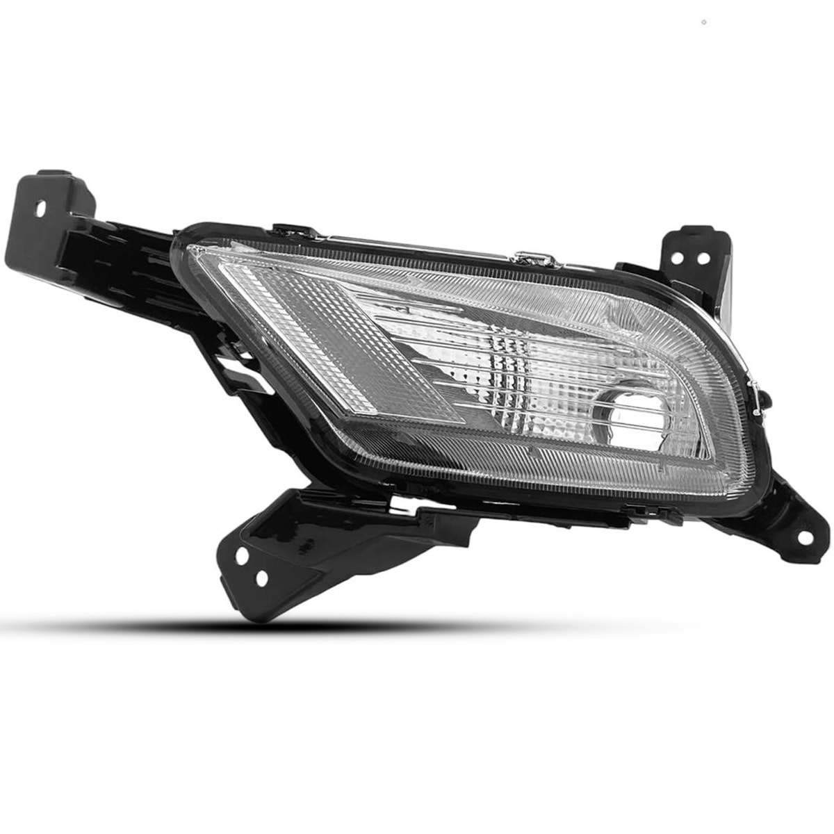 image_7ad970fe-35a6-44a7-8601-3aad2fb39922