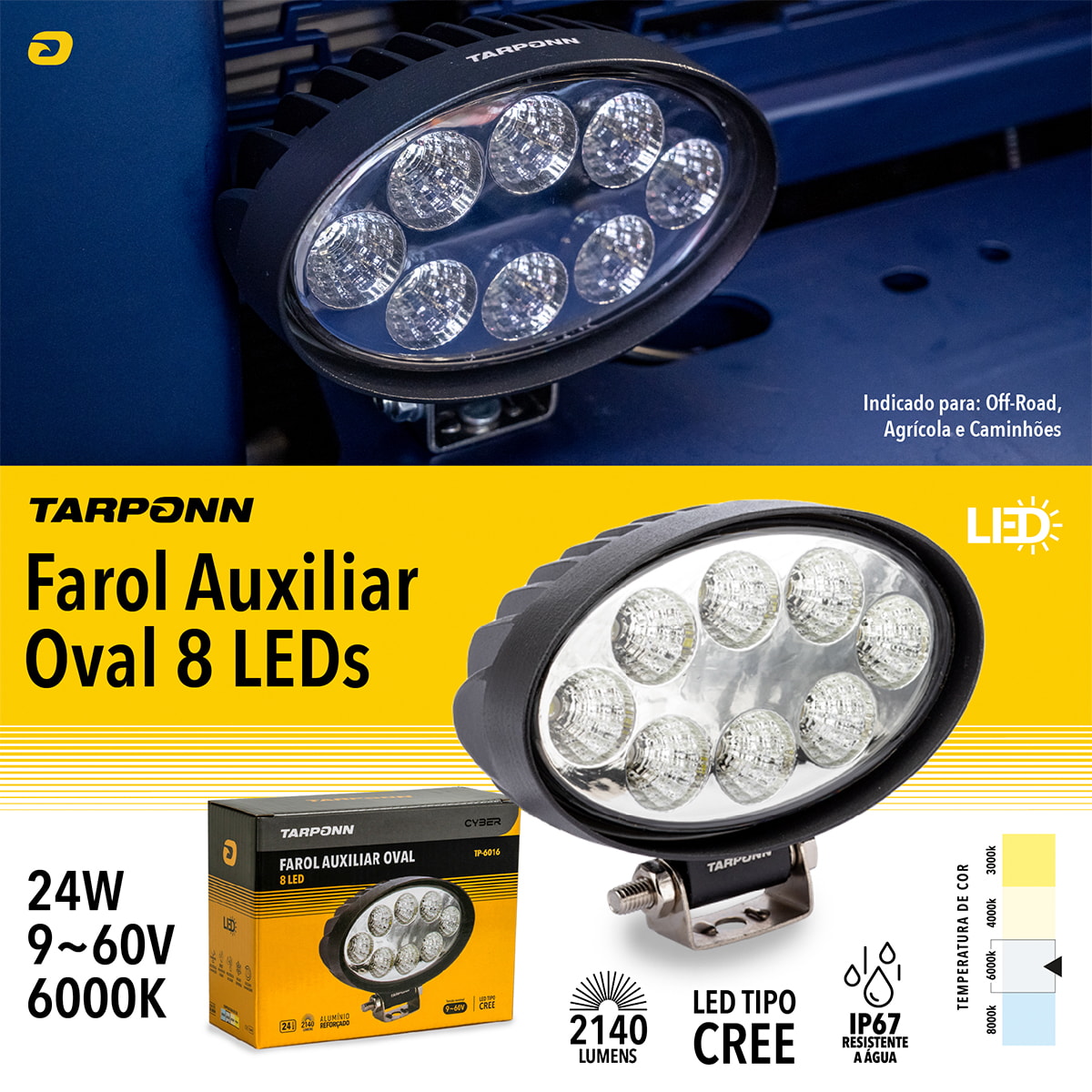 image_03707277-f975-4278-8e54-037108945940