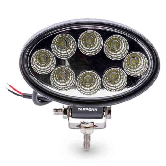 image_83f34206-0450-4f5c-b3ea-2173bc3ef272