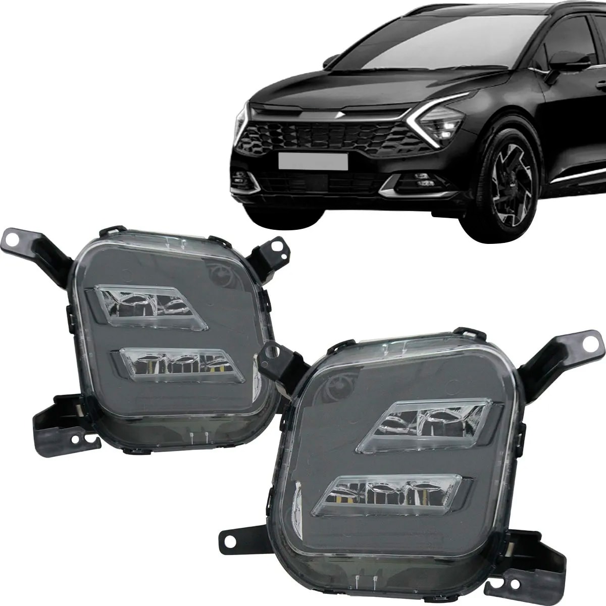 image_d951134b-f129-4ff6-bb64-4edd6bda7894